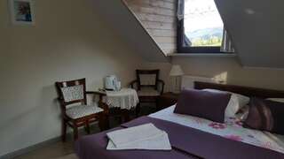 Отели типа «постель и завтрак» Dom Malowany Ветлина Двухместный номер с 1 кроватью и видом на горы-5